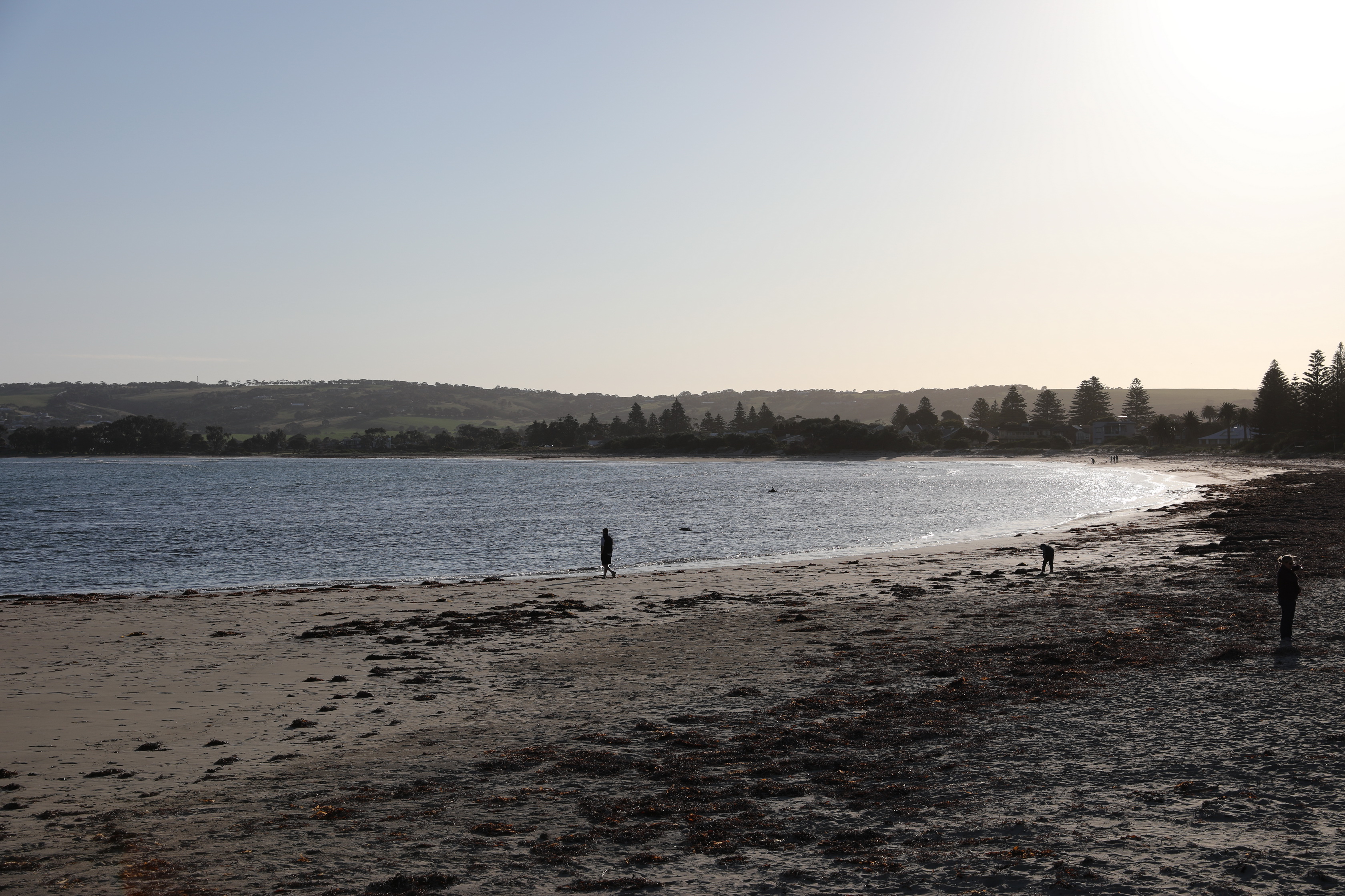 2019 09 28 17 02 17 Canon EOS 5D Mark IV 0031